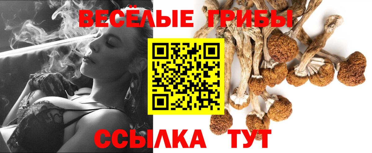 Псилоцибиновые грибы MAGIC MUSHROOMS Богданович