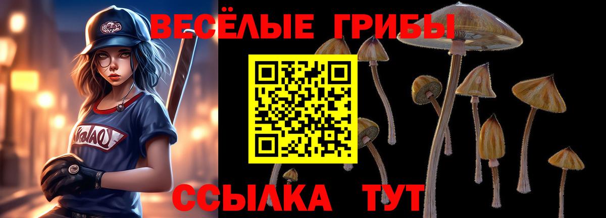 Псилоцибиновые грибы мухоморы  Псилоцибиновые грибы Cubensis  Богданович  Вход с VPN 