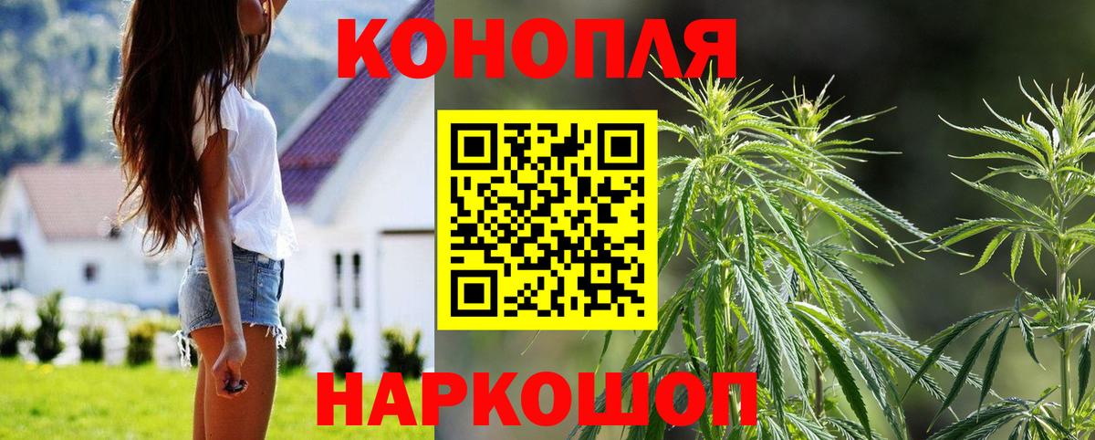 Каннабис VHQ  Вход с VPN  Каннабис тримм  Бошки Шишки ГИДРОПОН  Канабис индика  Богданович 
